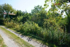 Hauptbild +++EINE PERLE IN IDYLLISCHER LAGE VON Pönitz - WOCHENENDGRUNDSTÜCK M. BUNGALOW u. NEBENGEBÄUDE+++